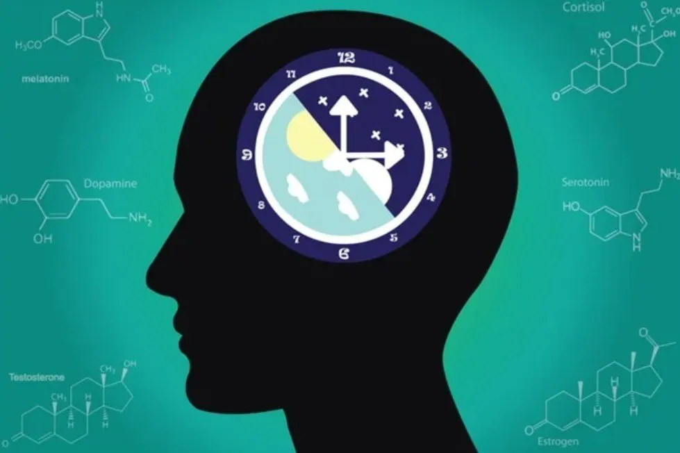 Circadian Sleep Disorders: How Your Body Clock Impacts Your Sleep & Ways to Reset It