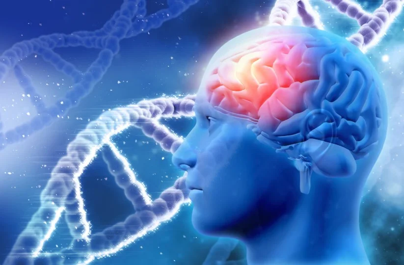 Neuroimmunology & Rising Neurological Disorders: Understanding the Brain–Immune Connection