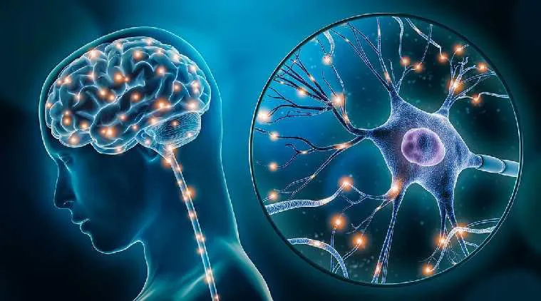 Neuroplasticity & Brain Recovery: Understanding the Brain’s Power to Heal
